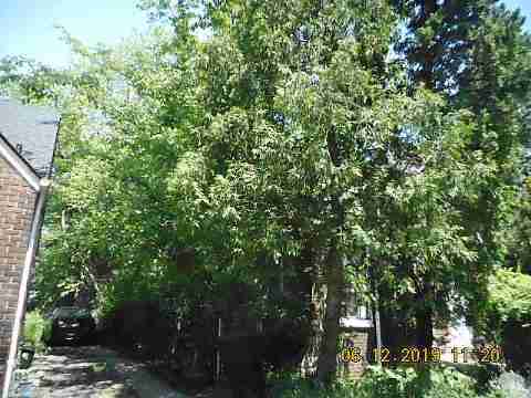 11807 Elmdale (6)_m.jpg